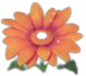 สัญลักษณ์ ดอกเยอบีร่าสีส้ม ในเกม Butterfly Blossom