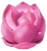 สัญลักษณ์ ดอกบัวสีชมพู ในเกม Butterfly Blossom