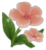 สัญลักษณ์ ดอกแพนซีสีชมพู ในเกม Butterfly Blossom